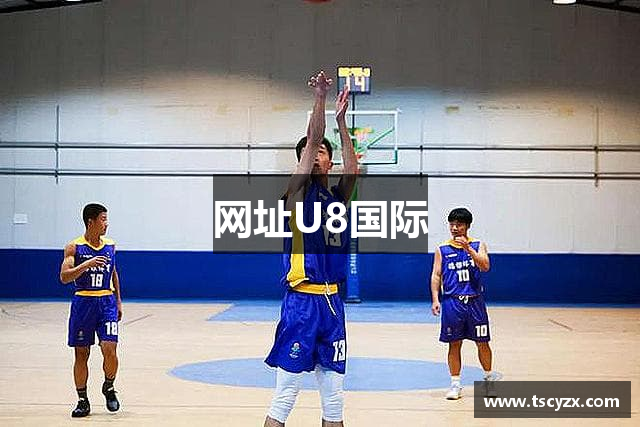 网址U8国际